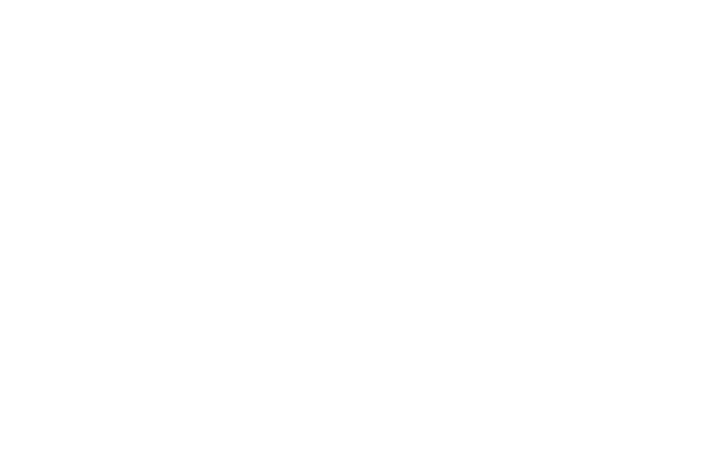 Angela Laurienzo Photography